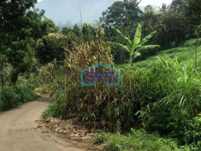 Dijual Tanah Di Cipulus Cilengkrang Bandung LT 1849m2