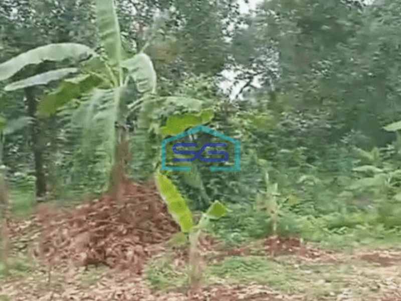 Dijual Tanah Komersil di Lenteng Agung Jakarta Selatan LT 11425m2