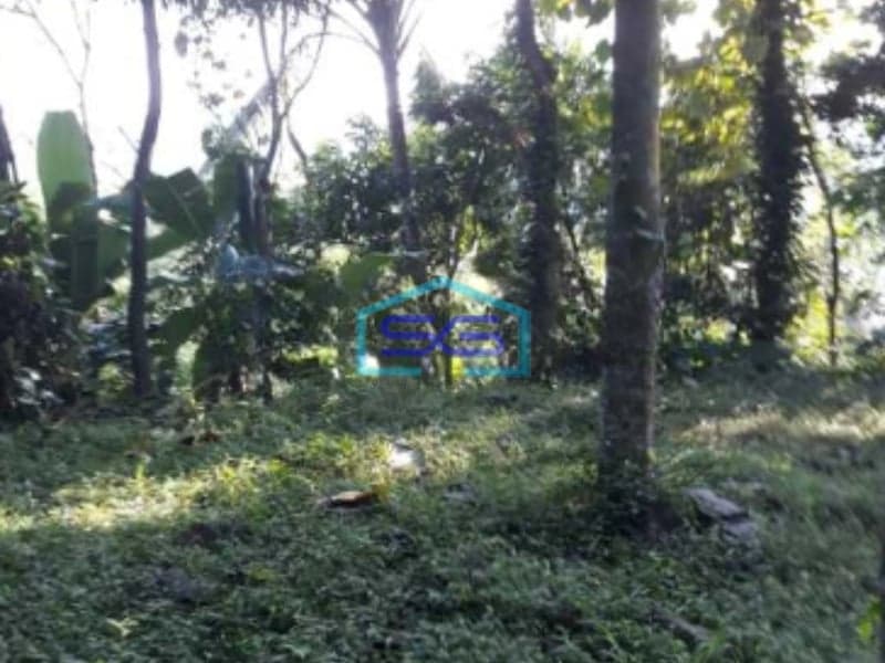 Dijual Paling Murah Tanah Cipeundeuy Bandung Luas Tanah 1200m2