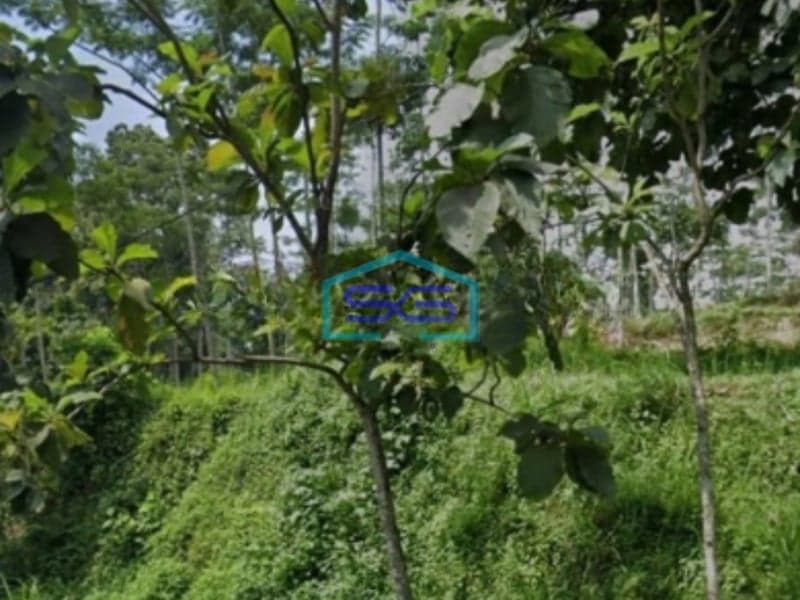 Dijual Lahan Tanah Lokasi Dayurejo Pandaan Pasuruan Jawa Timur Luas 2800m2