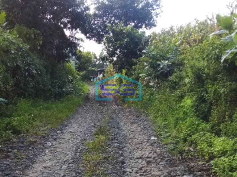 Dijual Tanah di Sidomukti Weleri Kendal bisa buat perumahan Luas Tanah 3810m2