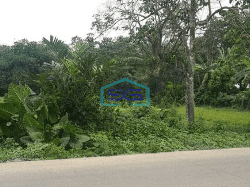 Dijual Tanah Lokasi di Cikupa Luas 3 Ha Tangerang