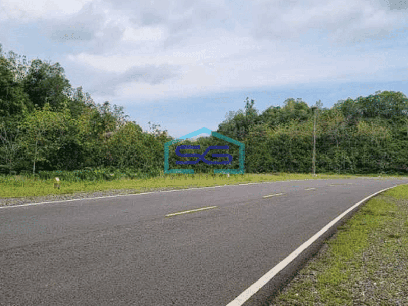 Dijual Tanah Murah Area Girisubo Gunung Kidul Yogyakarta LT 17500m2