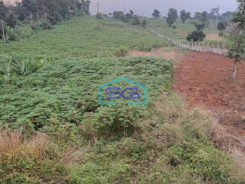 Dijual Tanah di Desa Hambalang Citeureup Bogor Luas Tanah 10500m2