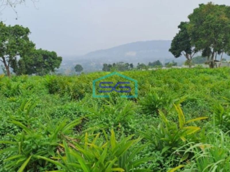 Dijual Tanah Murah Desa Cidokom Mekar jaya Rumpin Bogor Luas Tanah 10159m2