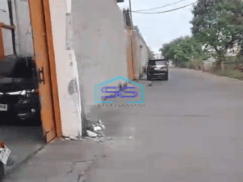 Disewakan Gudang Perternakan Di Kapuk Jakarta Utara Luas Bangunan 800m2