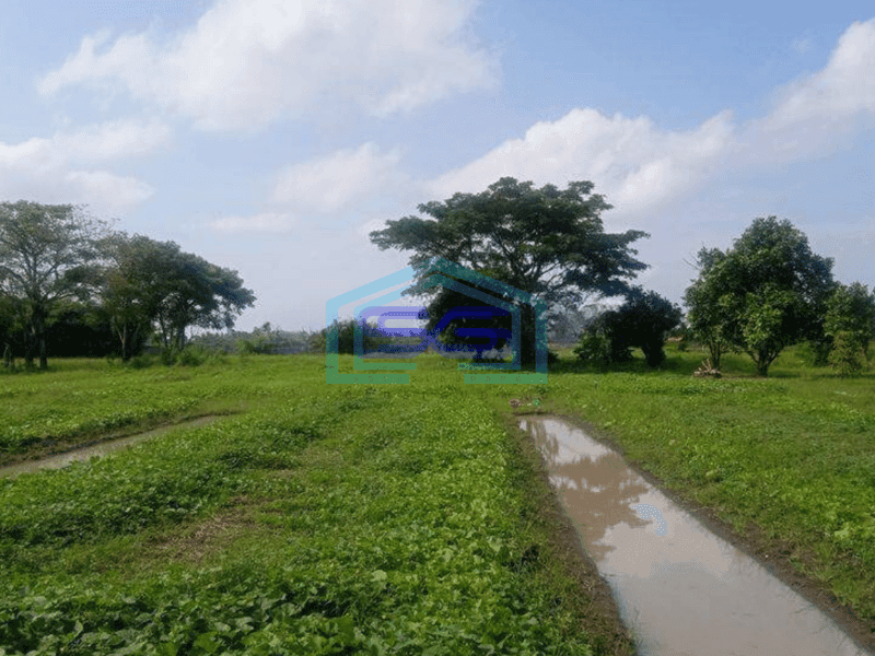 Dijual Tanah 15.229m Sepatan Tangerang