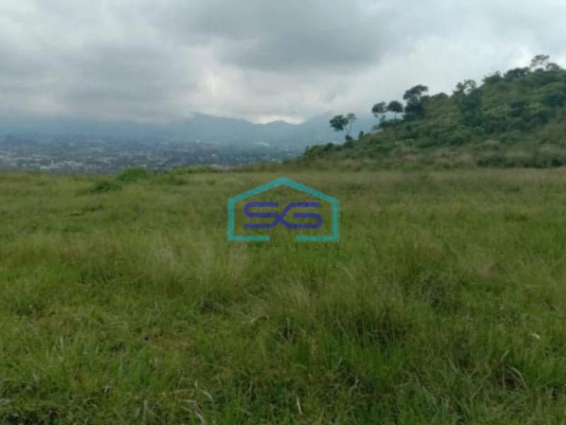Dijual Tanah Bagus di Cipanas Cianjur Luas Tanah 50000m2
