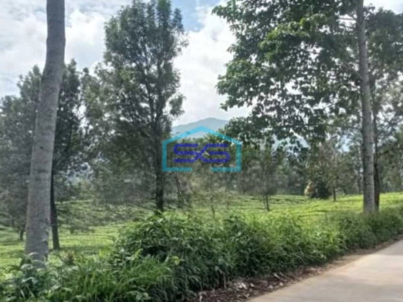 Di Jual Tanah Di Daerah Puncak Puncak, Bogor Luas Tanah  12000 m²