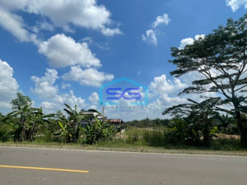 Dijual Tanah Jalan Tanjung Api Api Km 45 Palembang Luas Tanah 15.000m2