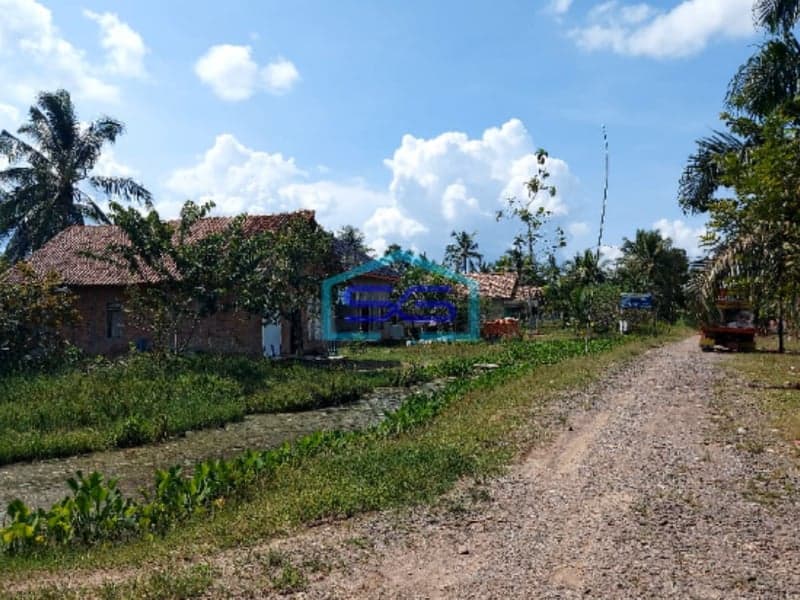 Dijual Tanah Bonus Bangunan di Jalan Tanjung Lago Kawasan KTM Telang Parit 17 Banyuasin Sumatera Selatan