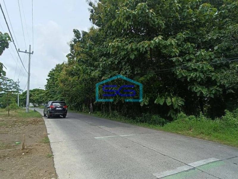 Dijual Tanah Murah Di Dawar Blandong Mojokerto LT 30000m2