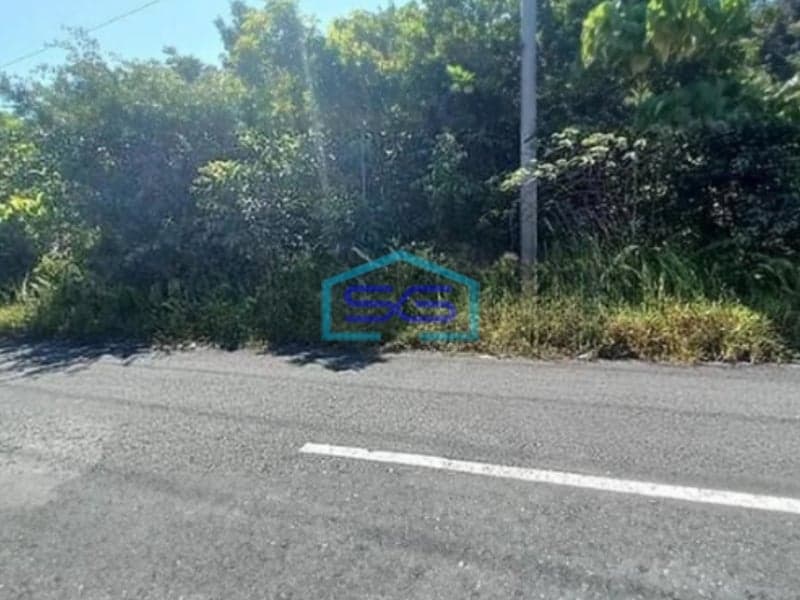 Dijual Tanah Kavling di Maratua Berau Kalimantan Timur Luas Tanah 3 Hektar