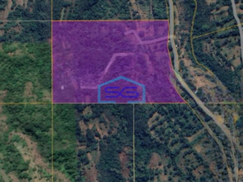 Dijual Cepat Tanah di Buleleng Bali Luas Tanah 92500m2