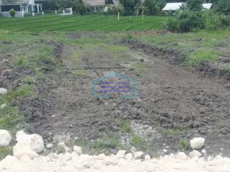 Disewakan Tanah di Canggu Badung Bali Luas Tanah 930m2