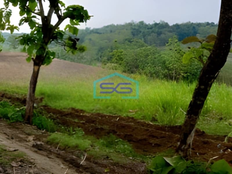 Dijual Tanah Luas 100000 m² Lokasi Strategis di Sragen Jawa Tengah