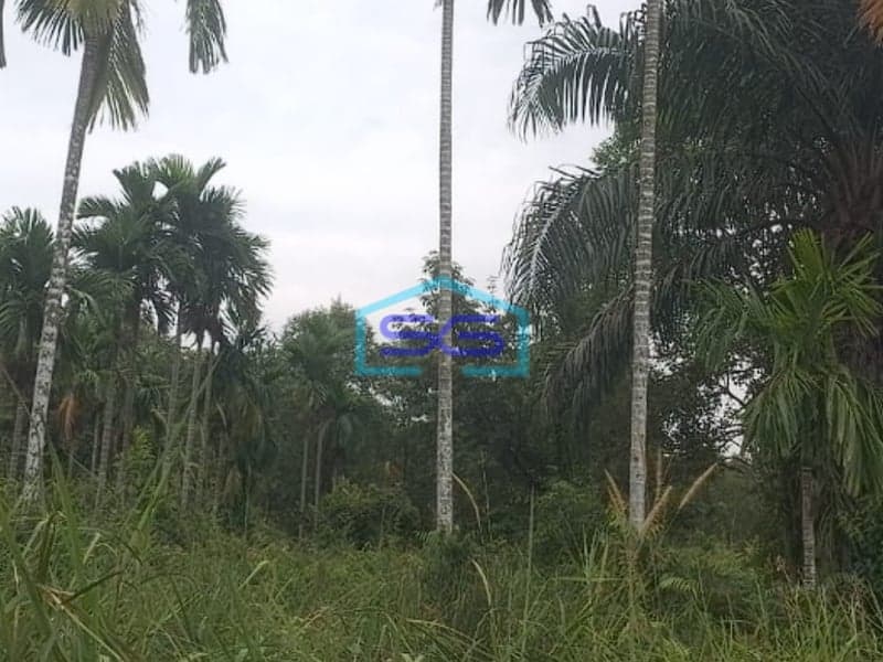 Dijual Cepat! Tanah Strategis Talang Jambe Banyuasin Sumatera Selatan Harga Terjangkau, Lokasi Premium!