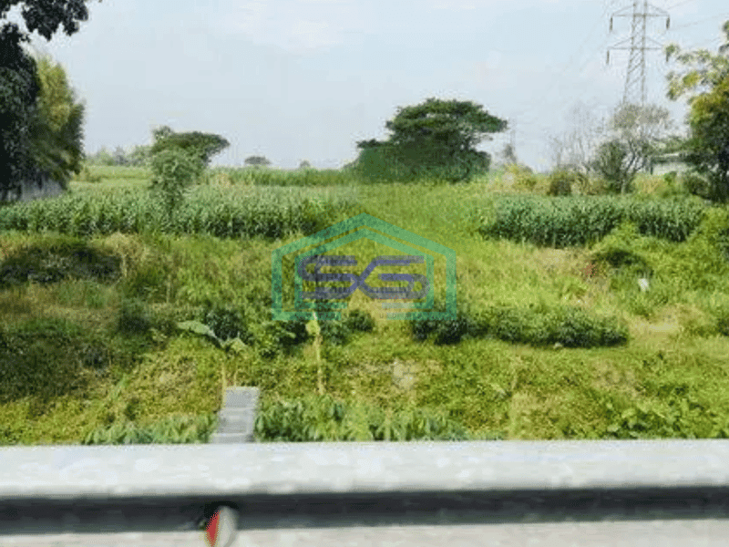 Dijual tanah pertanian di Kediri