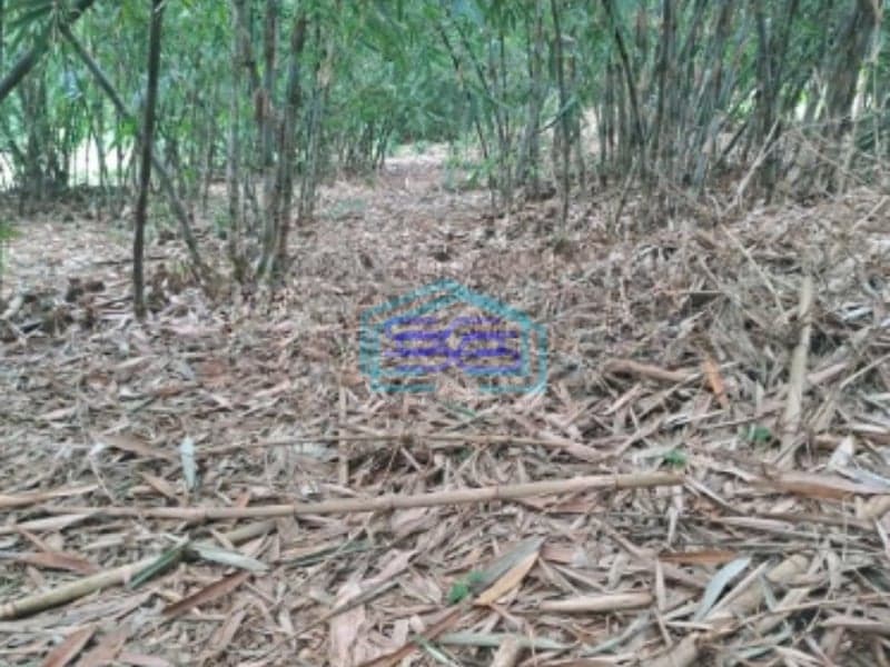 Dijual Tanah Strategis di Daerah Mekarsari Rumpin Bogor Luas Tanah 2800m2