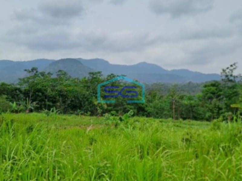 Dijual Tanah Leuwiang Lewisadeng Bogor Luas Tanah 120000m2