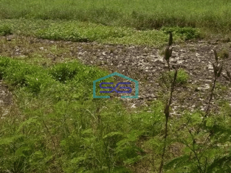 Dijual Tanah Strategis!! di Jl Rorotan Cilincing, Jakarta Utara