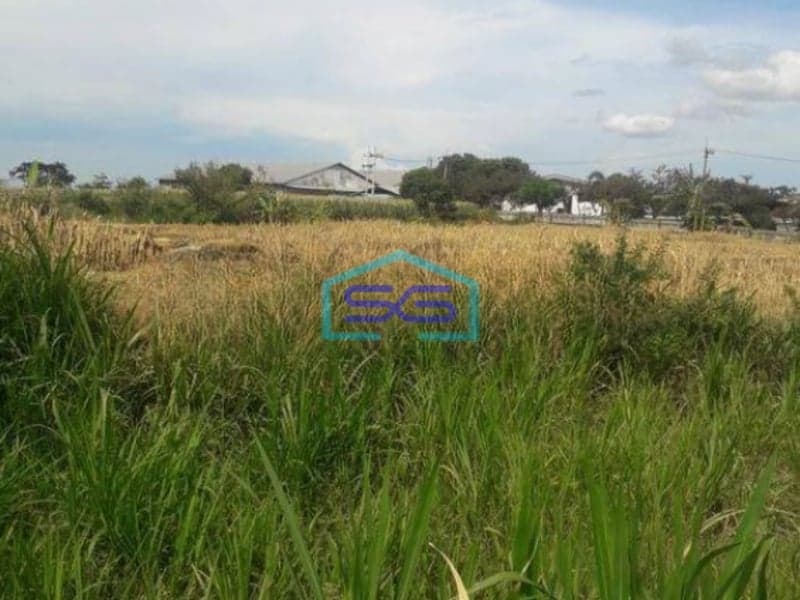 Dijual Tanah Jl Raya Akses Kontainer Ada Gas Industri Di Purwosari Pasuruan Cocok Untuk Pabrik Dan Gudang LT 55000m2