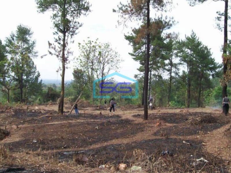 Dijual Tanah Murah Startegis Untuk Usaha di Pintu Masuk Kota Subang LT 24337m2