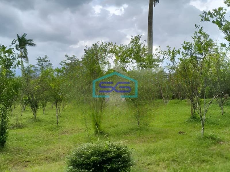 Dijual Tanah Luas 7320m2 SHM Lokasi di Pakisaji Malang