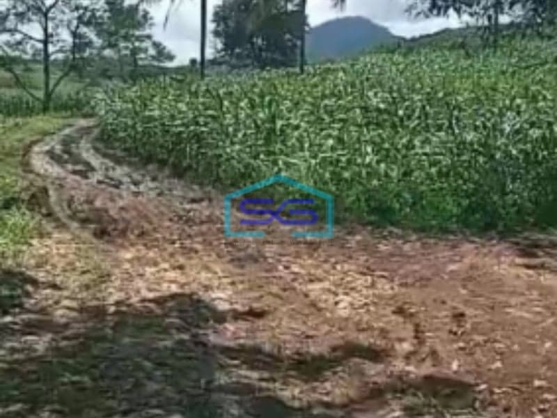 Dijual Tanah Bantarkalong Warung Kiara Sukabumi Jawa Barat LT 30000m2