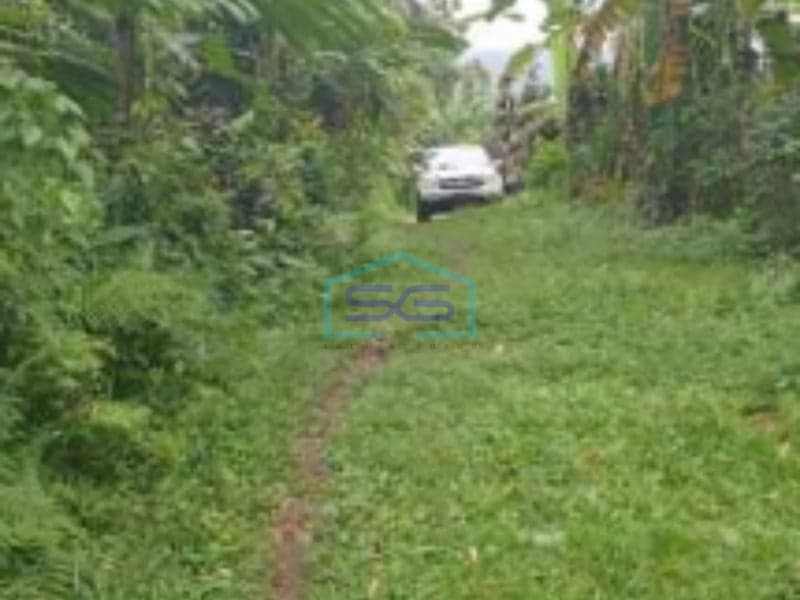 Dijual Tanah Dekat Jatiluwih, Soka Tabanan Bali Luas Tanah 2300m2