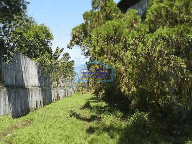 Dijual Tanah bonus Gudang Di Majalaya Karawang Luas Tanah 30000m2