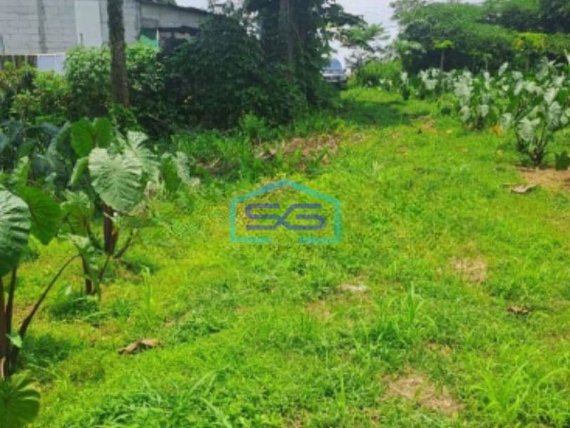 Dijual Tanah Di Daerah Kemang Bogor SHM Lokasi Bebas Banjir