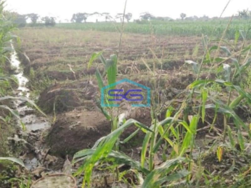 Dijual Tanah Lokasi Strategis SHM Luas 16500m² di Ciledug Cirebon