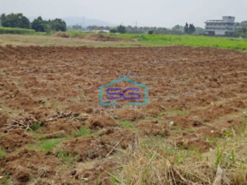 Dijual Tanah Jalan Atang Sanjaya Rancabungur Bogor Luas Tanah 90000m2