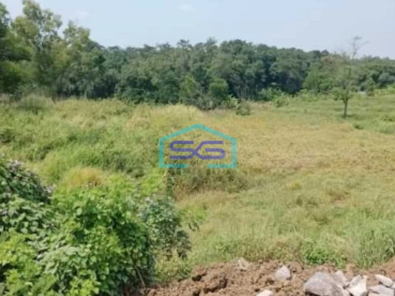 Dijual Tanah Siap Bangun Di Subang Jawa Barat Luas 200 Hektar