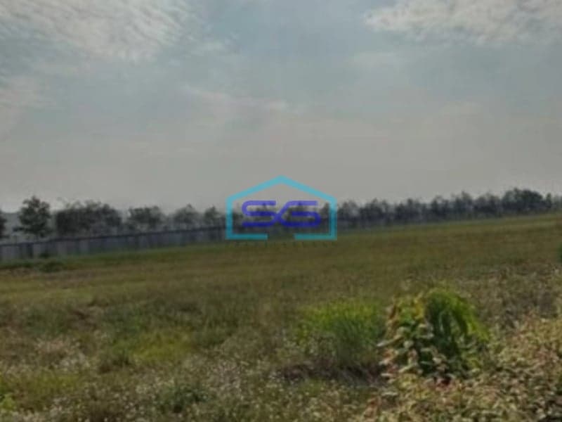 Disewakan Tanah Kavling Komersil PIK 2 Jakarta Utara Luas Tanah 5000 m2 Cocok Untuk Office