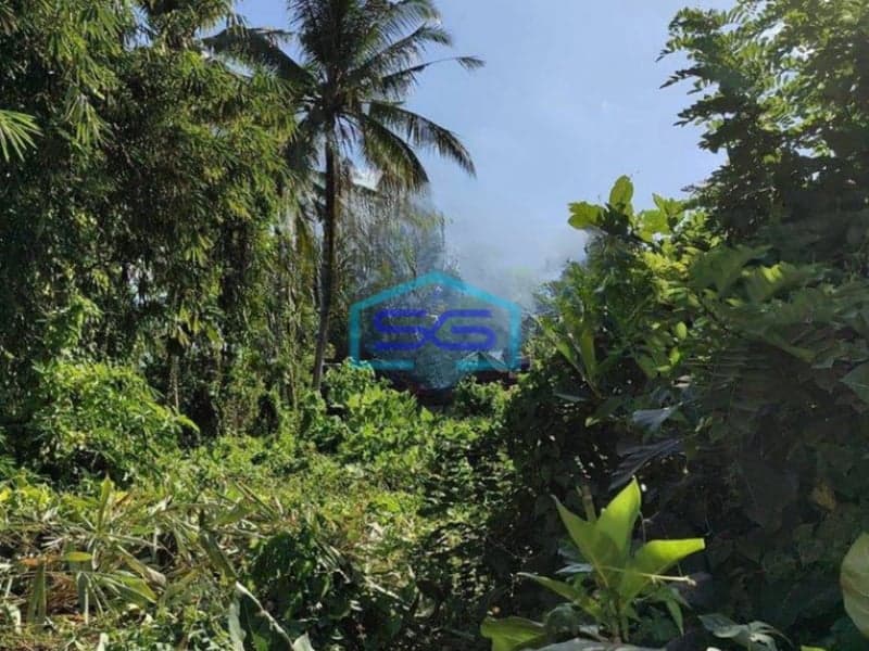 Dijual Cepat Tanah Sentral Ubud Bali LT 2400m2