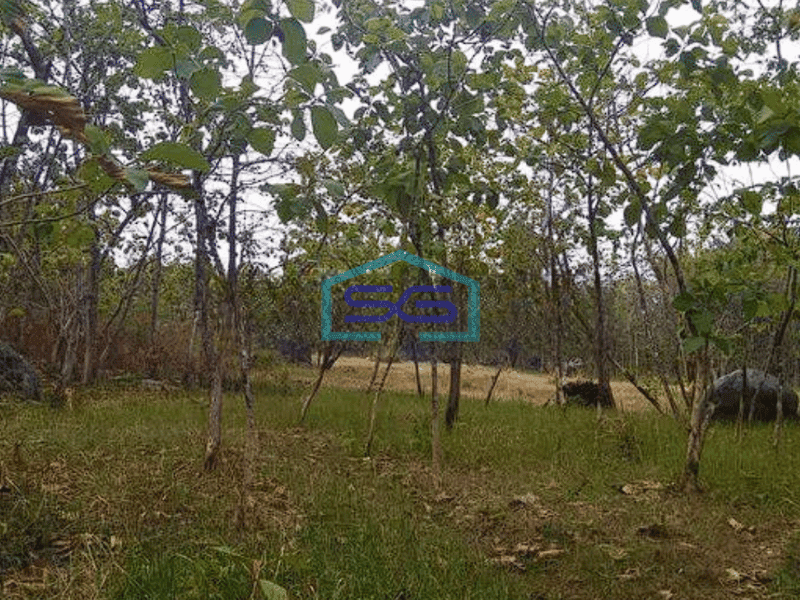 Dijual Tanah Tuban,Ds Prunggahan Kulon, Kec. Semanding, Tuban LT 4738m2