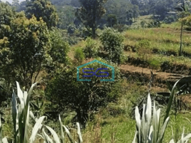 Dijual Tanah Cilengkrang Di Cibiru Bandung Luas Tanah 5085m2