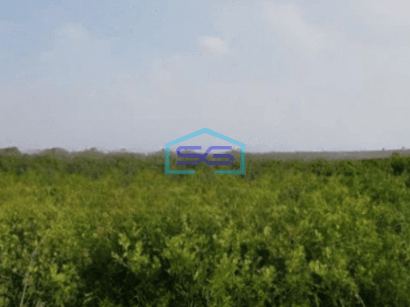 Dijual Tanah Luas 4647 m2 Lokasi Mragomulyo Surabaya