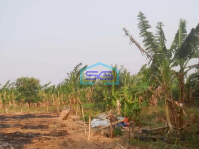 Dijual Tanah Kavling Komersil Untuk Usaha Di Cengkareng Jakarta Barat LT 16600m2