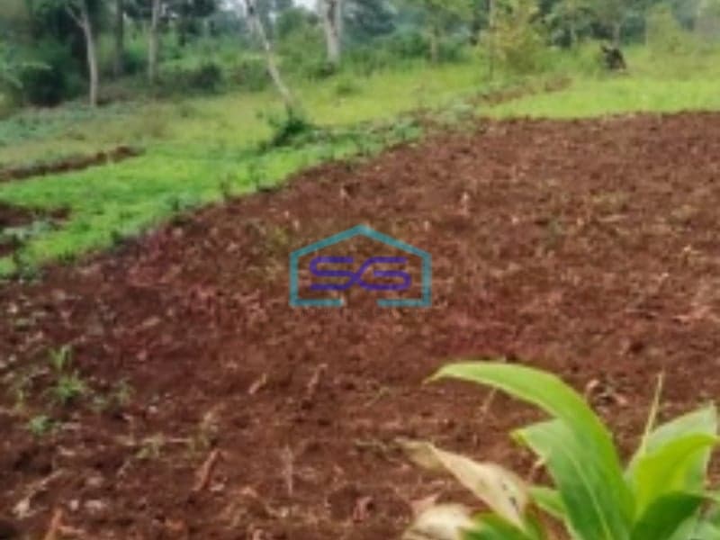 Dijual Tanah Pasir Angin Bogor Akses Mudah dan Jalan Lebar Dekat Pintu Tol Summarecon LT 14000m2