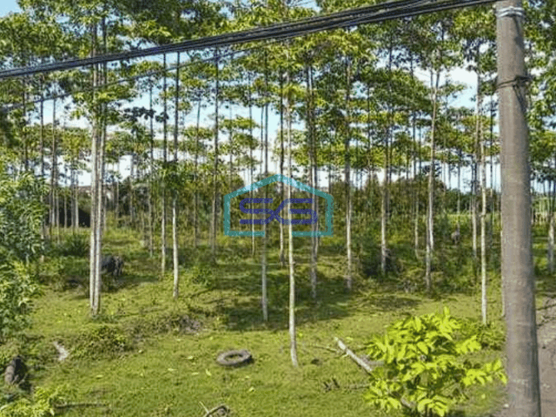 Dijual Tanah Ijin Industri Masuk Kontainer 40ft 3 KM dr toll Cikande Serang LT 22000m2
