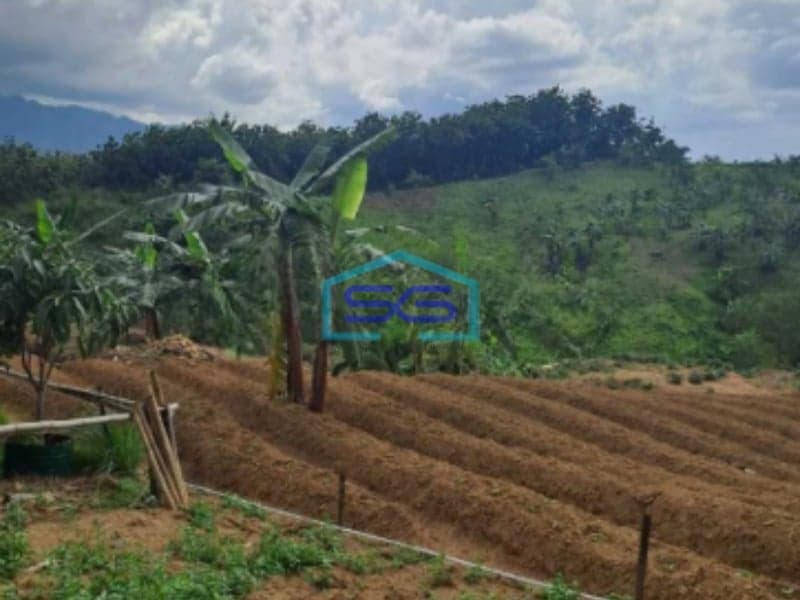 Dijual Tanah di Desa Pabuaran Sukamakmur Jonggol Bogor LT 3500m2