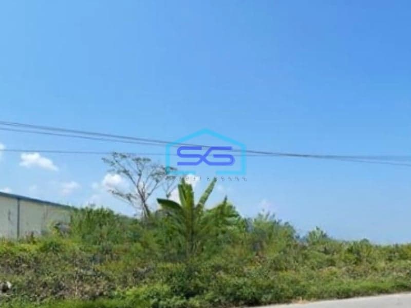 Dijual Tanah Lokasi Strategis di Sayung Demak Jawa Tengah Luas 5372 m²