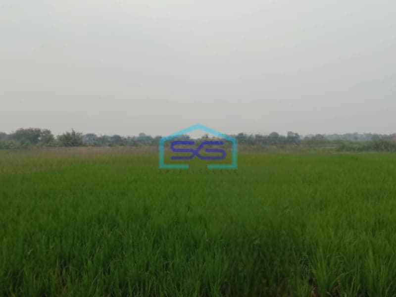 Dijual Cepat Tanah Sawah Cibarusah Jaya Cikarang Bekasi 3918m2