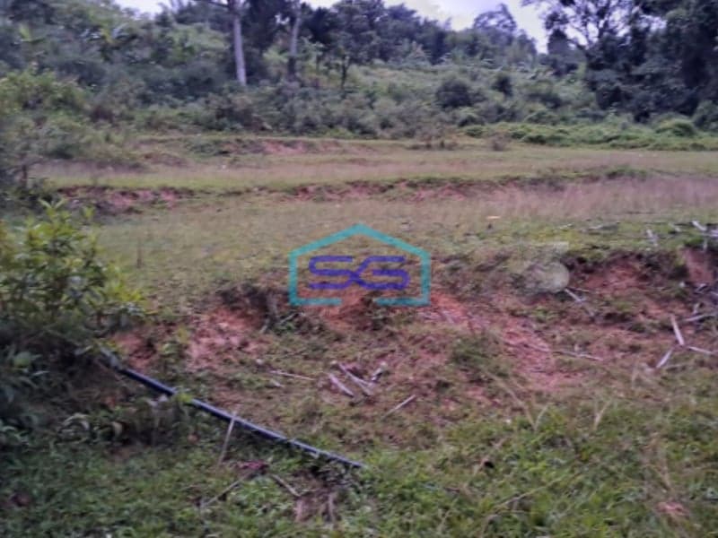 Dijual Tanah Sangat Bagus di Desa Bojongkoneng Babakan Madang Bogor