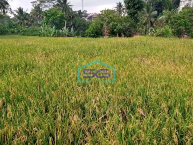 Dijual Tanah Sawah Daerah Sinargalih Bumi Mas Majalengka Luas Tanah  8820 m²