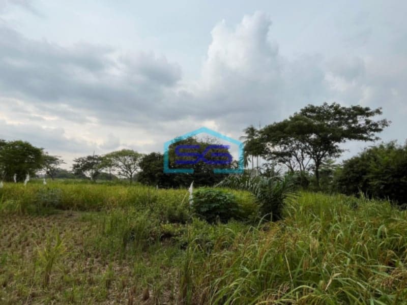 Dijual Tanah di Pinggir Jalan Karya Jaya Palembang Luas Tanah 7930m2