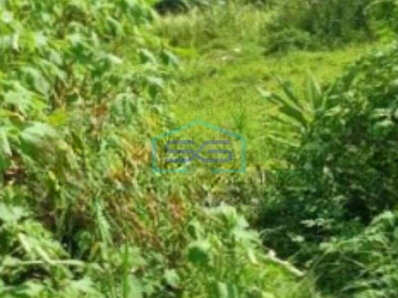 For Sale Large Land 19300 m² Located in Cianjur West Java